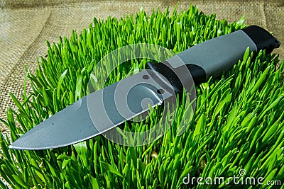 Fixed knife on grass. Cold teperature. Stock Photo