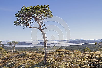 Fjell landscape in the Trondelag Stock Photo