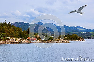 Fjord Lysefjord - Norway Stock Photo