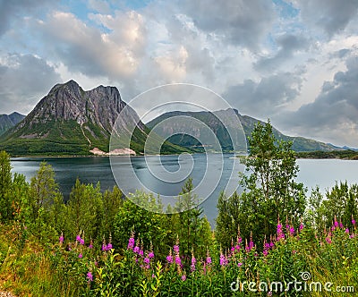 Fjord summer cloudy view, Norway Stock Photo