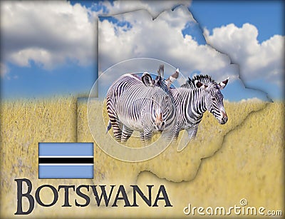 Flag Map of Botswana on which is a picture of a zebras. There is the text of Botswana and flag. There is It is national african Stock Photo