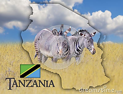 Flag Map of Tanzania on which is a picture of a zebras. There is the text of state. It is national african background with golden Stock Photo