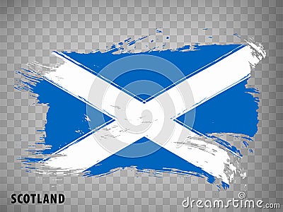 Flag Scotland from brush strokes. Waving Flag Scotland on transparent background Vector Illustration