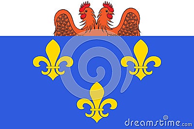 Flag of Versailles in Yvelines in Ile-de-France, France Vector Illustration