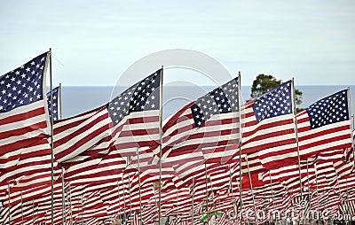 Flags Fly for Victims of 9/11 attacts Stock Photo