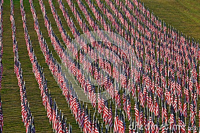 Flags in the Healing Fields for 9/11 Editorial Stock Photo