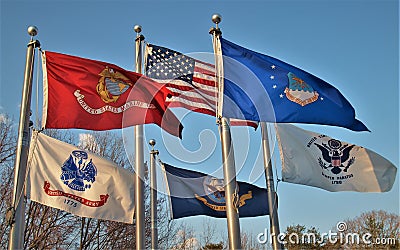 Flags over Veterans Memorial in King, North Carolina Stock Photo