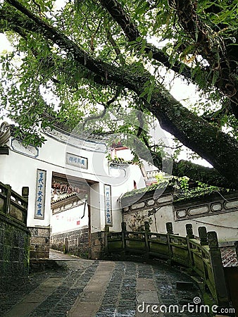 Flagstone road leading to ancient temple under big tree Stock Photo