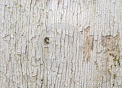 Flaking White Paint on Faded Wood Background Stock Photo