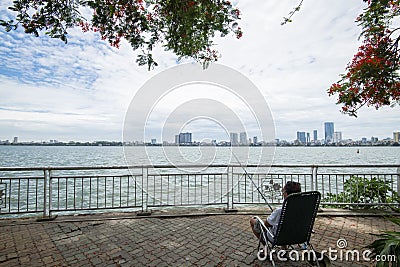 Flamboyant summer flower blooming in the summer Stock Photo