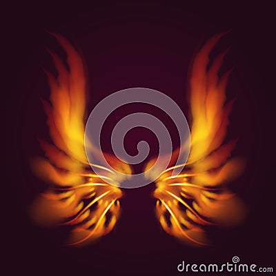 Bird fire wings vector fantasy feather burning fly mystic glow fiery burn hot art wings illustration on black. Vector Illustration