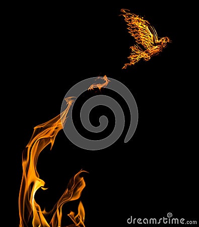 Flame dove flying from orange flire isolated Stock Photo