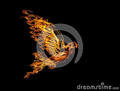Flame flying dove isolated on black Stock Photo