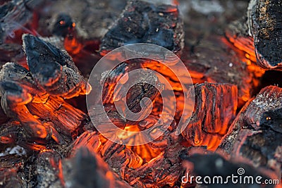 Flame incinerates firewood and transforms it ashes, close up, shallow depth of field. Blaze in a large stove. Nature Stock Photo