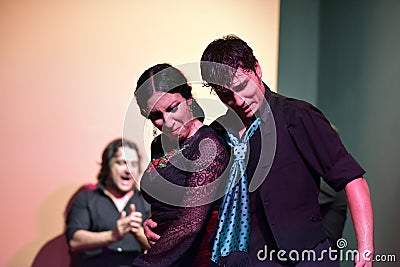 Flamenco dancer performing her show, Seville Editorial Stock Photo