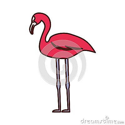 Flamenco exotic bird icon Vector Illustration