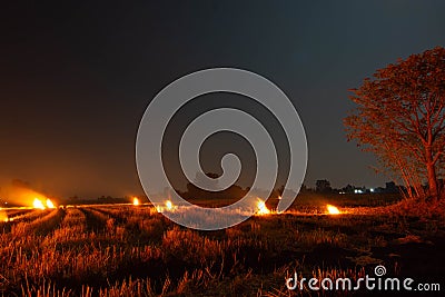 The flames burn in the dry fields and straw at night, the smog problem and global warming. Stock Photo