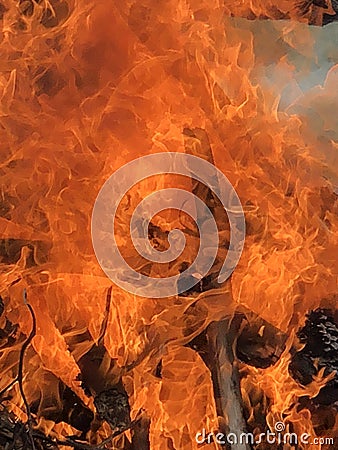 Intense fire Stock Photo