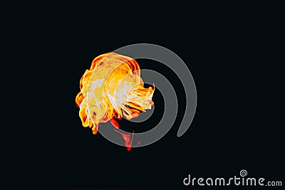 Flames of fire on dark background Stock Photo