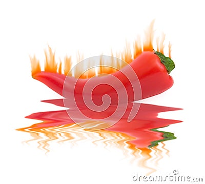 Flaming Hot Pepper on White Stock Photo