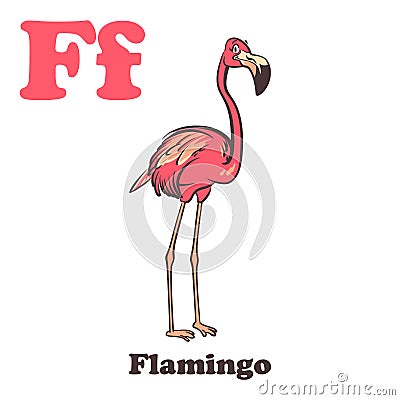 F for Flamingo Vector Illustration