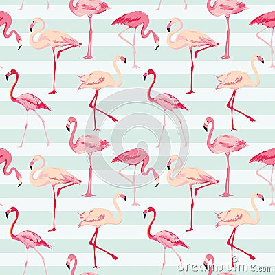 Flamingo Bird Background Vector Illustration