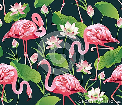 Flamingo Bird and Tropical lotus Flowers Background - Seamless pattern Vector Illustration