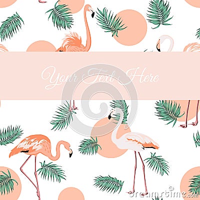 Flamingo birds green leaves sunset card template Vector Illustration