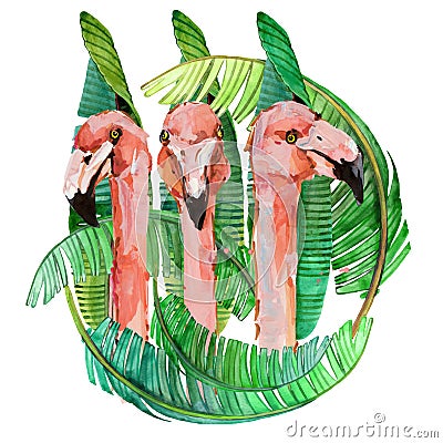 Flamingo birds watercolor hand drawn illustration Cartoon Illustration
