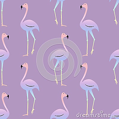 Flamingo colorful rainbow bird. Beautiful seamless pattern Vector Illustration