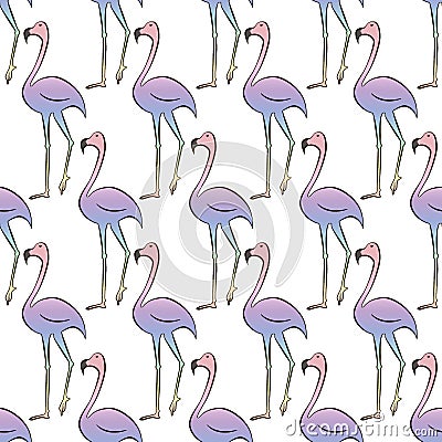 Flamingo colorful rainbow bird. Beautiful seamless pattern Vector Illustration