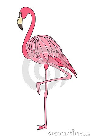 Flamingo. Eps Vector Illustration