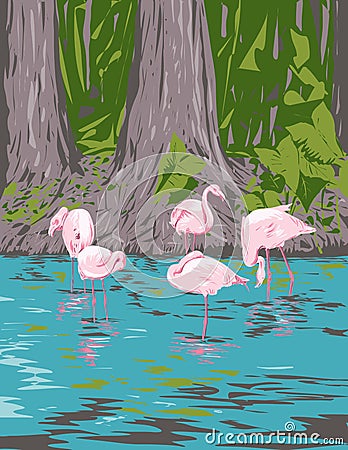 Flamingo in Everglades National Park in Florida USA WPA Art Poster Vector Illustration