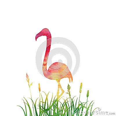 Flamingo in grass silhouette Stock Photo