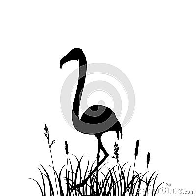 Flamingo in grass silhouette Vector Illustration