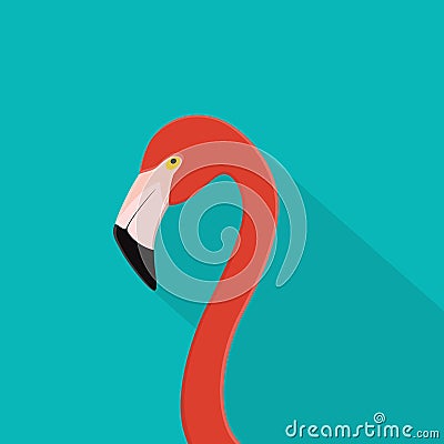 Flamingo head. Flamingo bird on blue background with soft shadow. For web banner, poster summer, advertising, info graphic. Cartoon Illustration