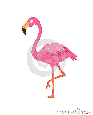 Flamingo Vector Illustration
