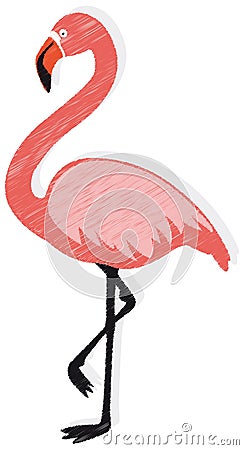 Flamingo vector Vector Illustration