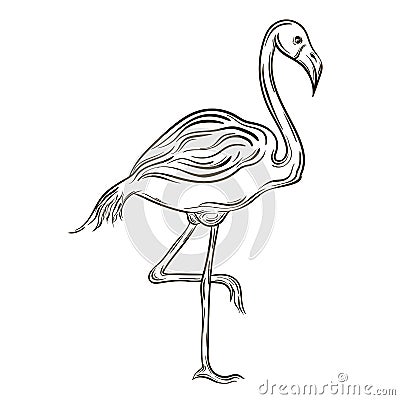 Flamingo Vector Illustration