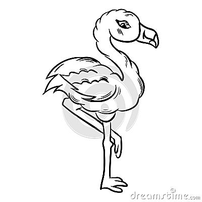 Flamingo line vector illustratio coloring page book Vector Illustration