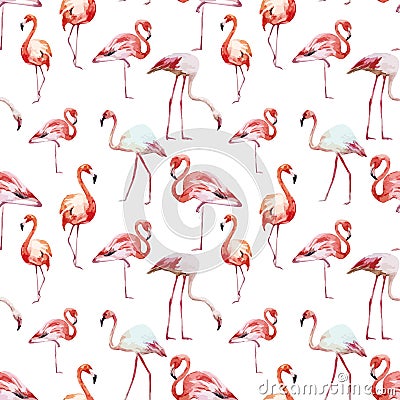 Flamingo pattern Vector Illustration