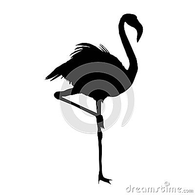 Vector file of flamingo Vector Illustration