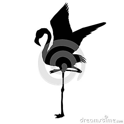 Vector file of flamingo Vector Illustration