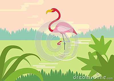 Flamingo swamp habitat flat cartoon vector wild animals birds Vector Illustration