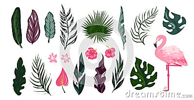 Flamingo tropical collection. Exotic bird with palm tree leaves. Cartoon tropic flora and fauna set. Pink animals Vector Illustration