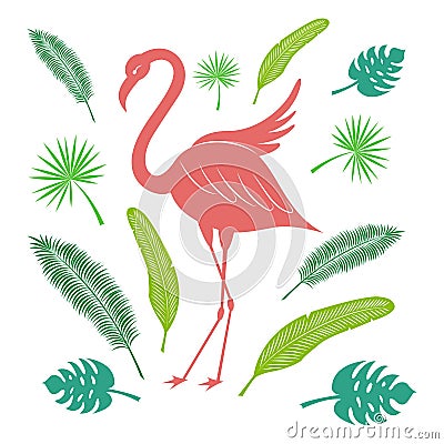 Flamingo and tropical leaves of palm and banana. Bright summer set. Stylized vector illustration. Vector Illustration