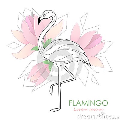 Flamingo. Vector illustration with a flamingo. Tropical Bird. Logo. Vector Illustration