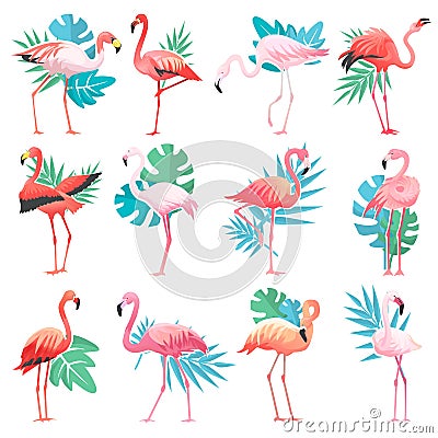 Flamingo vector tropical pink flamingos and exotic bird with palm leaves illustration set of fashion birdie isolated on Vector Illustration