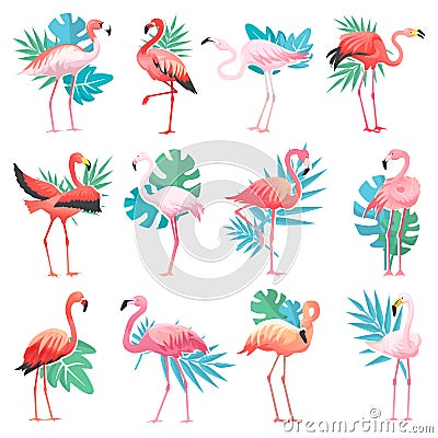 Flamingo vector tropical pink flamingos and exotic bird with palm leaves illustration set of fashion birdie isolated on Vector Illustration