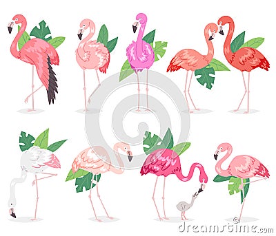 Flamingo vector tropical pink flamingos and exotic bird with palm leaves illustration set of fashion birdie in tropics Vector Illustration